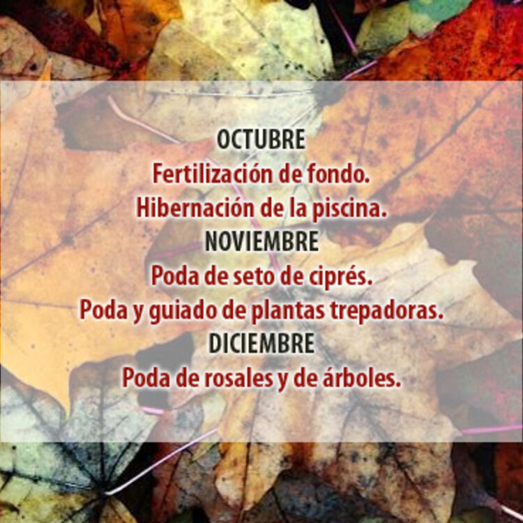 OTOÑO2