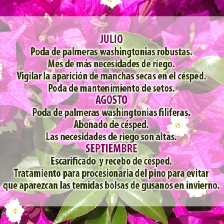 PRIMAVERA2